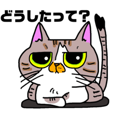 [LINEスタンプ] 猫庭のスタンプ2