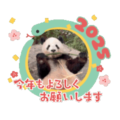 [LINEスタンプ] どうぶついろいろ うごくよの画像（メイン）