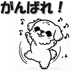 [LINEスタンプ] まいにちシーズー 挨拶返答編 いぬ イヌ 犬