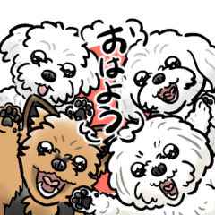 [LINEスタンプ] オーダースタンプ_クルリ