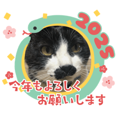 [LINEスタンプ] クリスマスお正月たのしいな