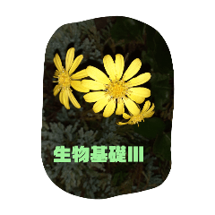 [LINEスタンプ] 生物基礎 Ⅲ 23-33