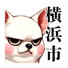 [LINEスタンプ] 横浜市を愛する白い犬、あずき。