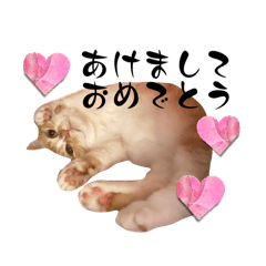 [LINEスタンプ] うにさんの挨拶③