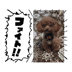 [LINEスタンプ] 動くモコ7の画像（メイン）