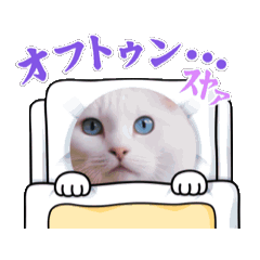 [LINEスタンプ] ねこのへんてこスタンプの画像（メイン）