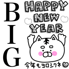 [LINEスタンプ] ねこ姫♡年末年始♡誰にでも使える【再販】