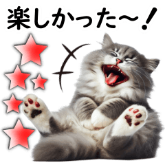 [LINEスタンプ] ずっと使える日常会話☆仲の良い人用☆猫