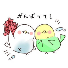 [LINEスタンプ] まいにちインコちゃん