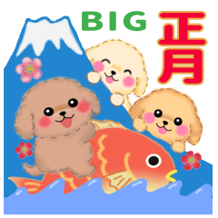 [LINEスタンプ] [BIG]トイプードルのお正月【修正版】