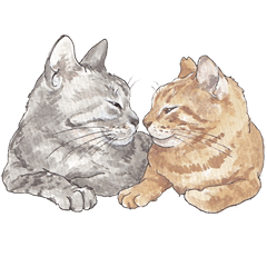 [LINEスタンプ] 保護猫スタンプPart.6