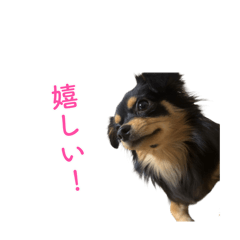 [LINEスタンプ] コロクルスタンプ第2弾