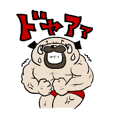 [LINEスタンプ] 鍛えなおしたパグ専用