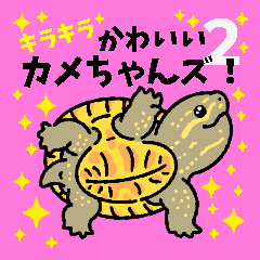 [LINEスタンプ] キラキラかわいいカメちゃんズ！パート2