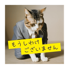 [LINEスタンプ] スーツを着た猫〜敬語編〜