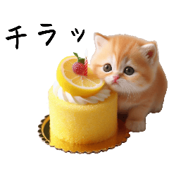 [LINEスタンプ] スイーツと猫 第2弾