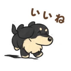 [LINEスタンプ] ダックスフンド♡気軽スタンプ