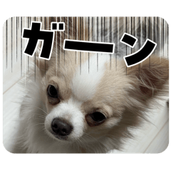 [LINEスタンプ] おくふーきな