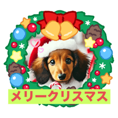 [LINEスタンプ] 冬1