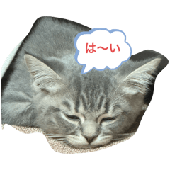 [LINEスタンプ] みるくせんせい