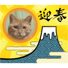 [LINEスタンプ] あけおめスタンプ2025 動物シリーズ