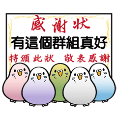 [LINEスタンプ] かわいい鳥の面白いフレーズ！(動的)