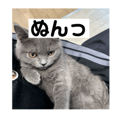 [LINEスタンプ] ぬん蔵