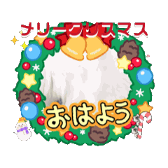 [LINEスタンプ] 動くMAYUにゃんクリスマス＆年末年始