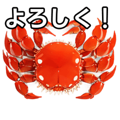 [LINEスタンプ] おしゃべりなカニ