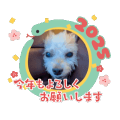 [LINEスタンプ] イブちゃんの2025冬用スタンプ