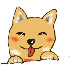 [LINEスタンプ] 柴犬の1日あいさつ