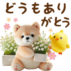 [LINEスタンプ] 飛び出る柴犬のきづかい敬語