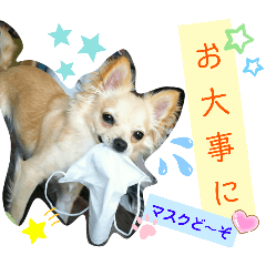 [LINEスタンプ] ナナちゃんスタンプ【よく使うワンコ②】