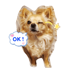 [LINEスタンプ] ナナコ©の初スタンプ①