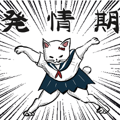 [LINEスタンプ] 志保ちゃん(無理矢理二足歩行猫)2