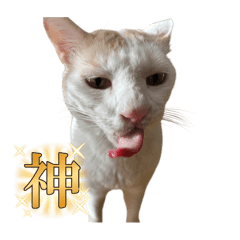 [LINEスタンプ] ちくわの日常スタンプ ver.2