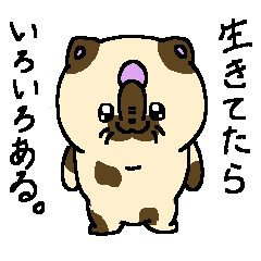 [LINEスタンプ] いい感じの雰囲気出す猫