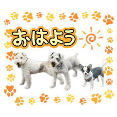 [LINEスタンプ] 3匹のイヌ日常スタンプ