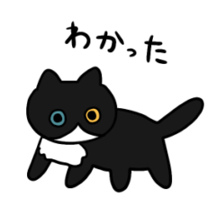 [LINEスタンプ] ハチワレ猫こそげの日常会話スタンプ