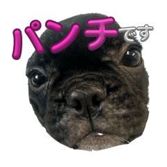 [LINEスタンプ] パンチです。