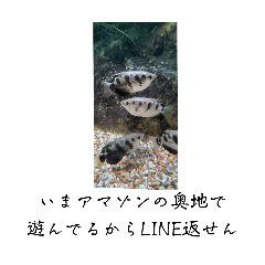 [LINEスタンプ] どこで何でだから何かを伝えよう！