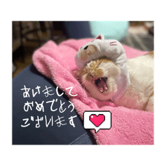 [LINEスタンプ] てんざるはっさくの日常