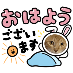 [LINEスタンプ] 癒しのネコズ①
