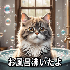 [LINEスタンプ] 主婦・主夫用ねこスタンプ