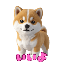 [LINEスタンプ] もふもふかわいい柴犬