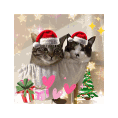 [LINEスタンプ] いのちのたすき クリスマスバージョンの画像（メイン）