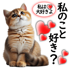 [LINEスタンプ] 毎日絶対使う☆疑問形言葉集☆仲の良い人用