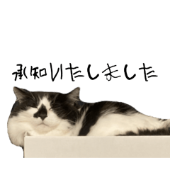 [LINEスタンプ] meme's stamp ver.3