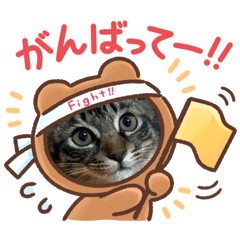 [LINEスタンプ] キーちゃんのごあいさつ