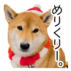 [LINEスタンプ] 年末年始の挨拶をする柴犬